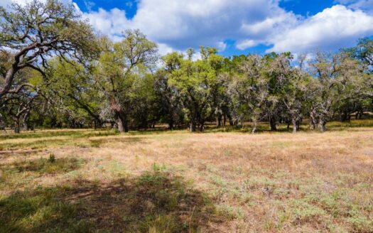 920 Blackbuck Ridge Drive