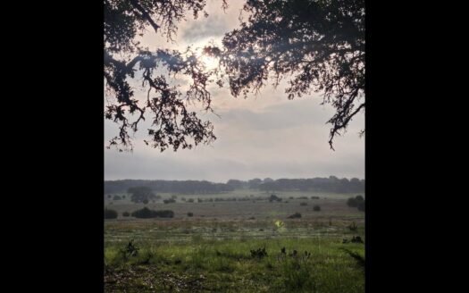 169 ORYX LANE LAMPASAS, TX 76550