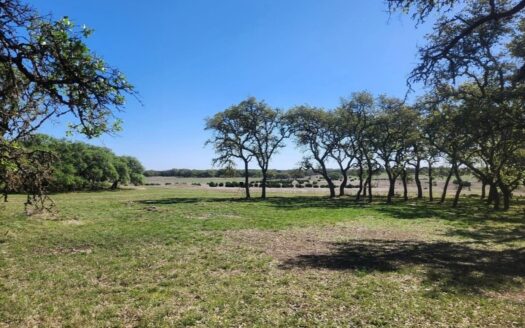 169 ORYX LANE LAMPASAS, TX 76550