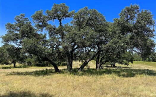 LOT 231 WINECUP DR LAMPASAS, TX 76550