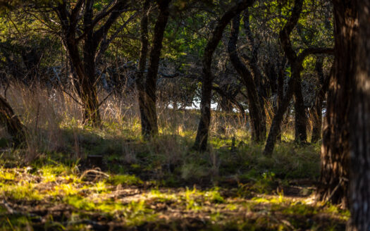 Vista Oaks Ranchette