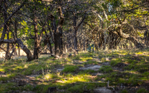 Vista Oaks Ranchette